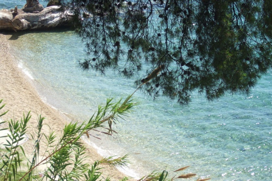 Elia Beach